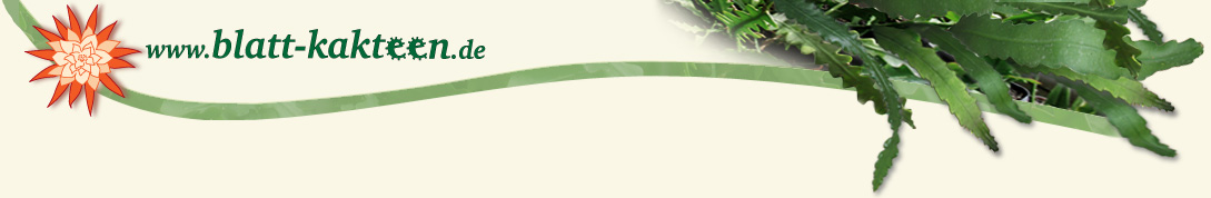 Blatt-Kakteen Banner